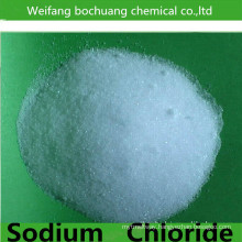 Manufacturer Supply Industrial/Food Additive Refined Salt Sodium Chloride